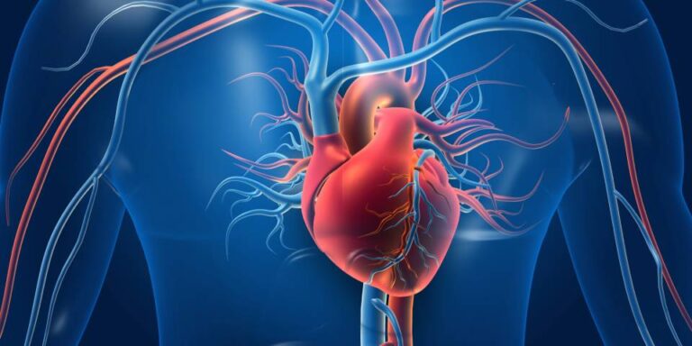7-Reasons-Why-Regular-heart-Health-Check-is-Important