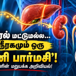 சிறுநீரகம் மருந்துகளை மாற்றி வெளியேற்றும் விதம்