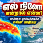 எல் நினோ