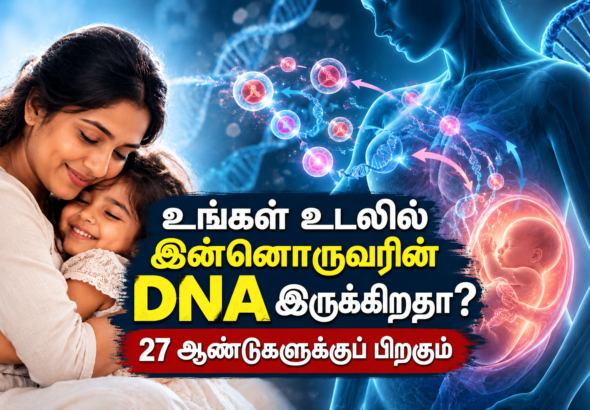 தாயிடமிருந்து குழந்தைக்கும் குழந்தையிடமிருந்து தாய்க்கும் செல்கள் பரிமாறும் மைக்ரோகைமரிசம் விளக்கப்படம்