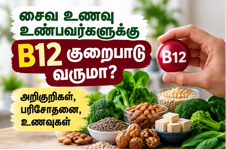 சைவ உணவும் வைட்டமின் B12